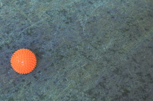 DSC_9843_Easy-Resize.com